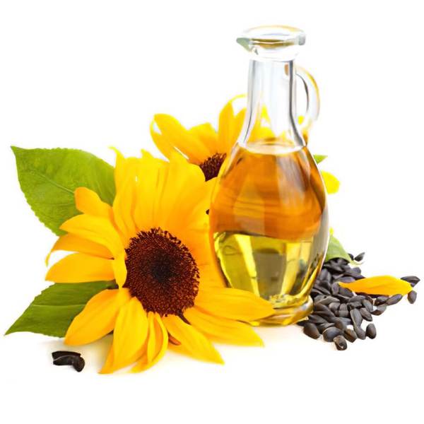 Dầu Hướng Dương - Sunflower Oil (Ý)