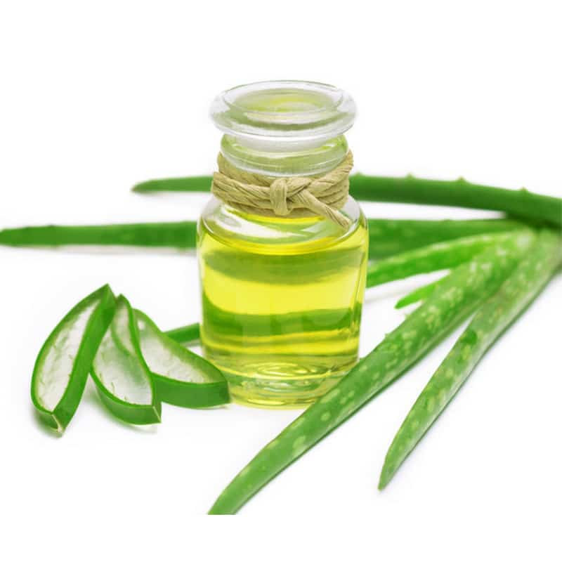 Dầu Lô Hội - Aloe Vera Oil (Ấn Độ)